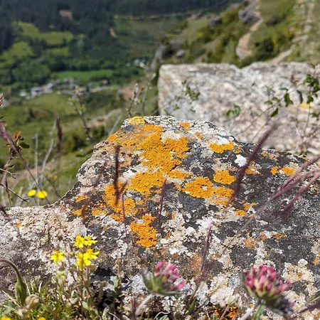 Aux Coeurs Du Mejean B&B